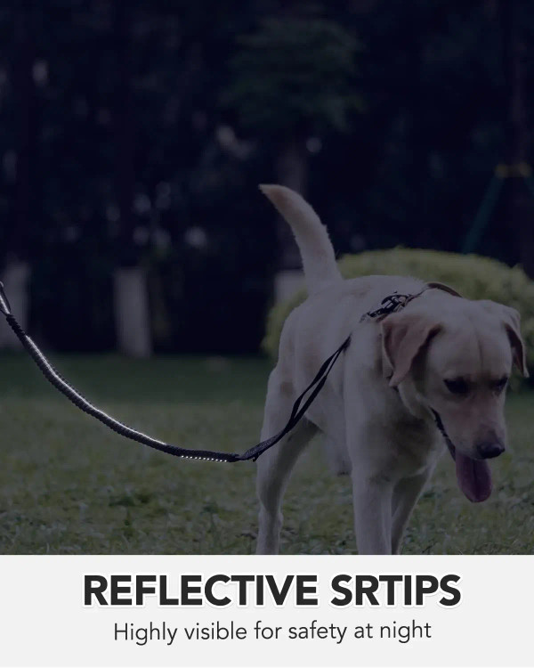 Color: Rose Red - Heavy Duty Dog Leash with Elastic Bungee for Medium & Large Dogs - Shock Absorpti