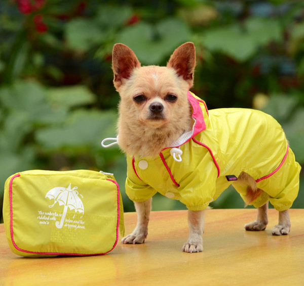 PVC raincoat double thick mesh pet raincoat