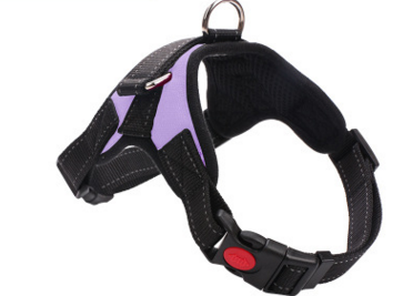 Color: Purple, Size: M - Pet Chest Strap Leash For Medium And Large Dogs