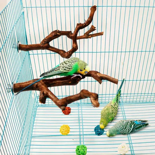Pet Standing Stick Wild Grape Wood Pole Parrot Cockatiel Parakeet Station Board Bite Claw Grinding 