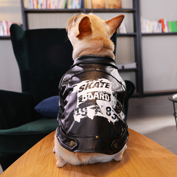 Color: Black, Size: S - Small Dog Spring Fur