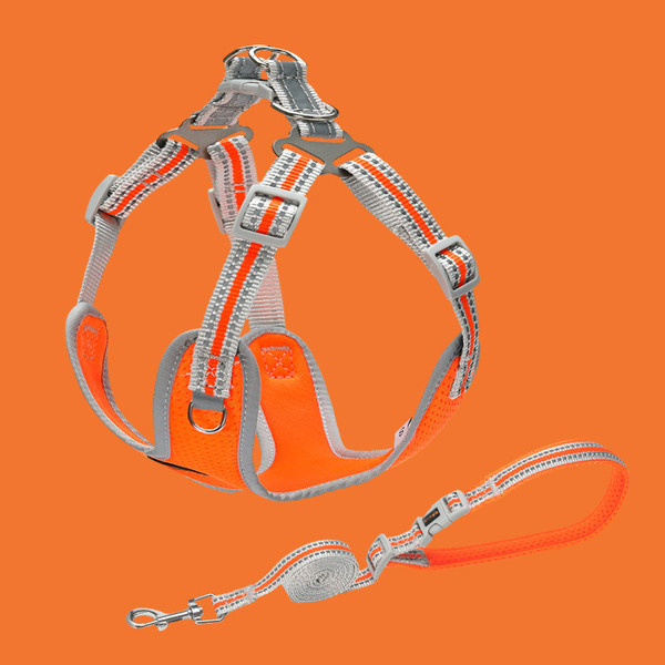 Color: Orange, Size: XXS - Pet Small And Medium Sized Dog Vest Collar Traction Rope