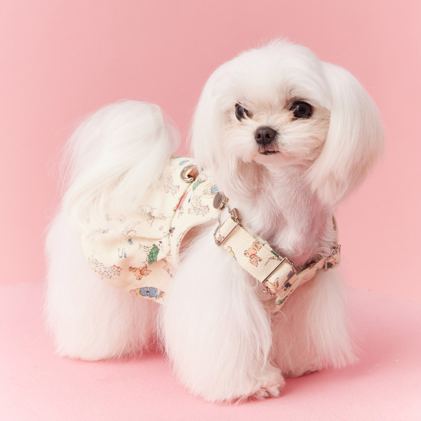 Teddy Schnauzer Maltese Small Dog Denim Suspender Skirt