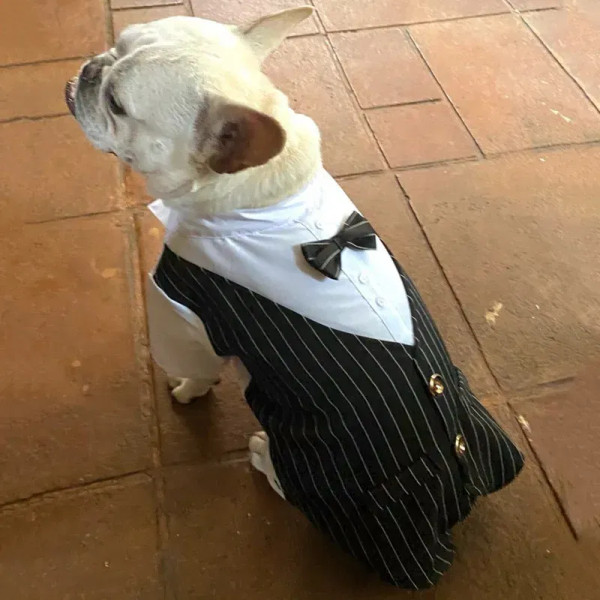 Color: Black, Size: XXL - Dog Gentleman Wedding Suit Clothes Dog Suit Bow Tie Clothes Halloween Chr