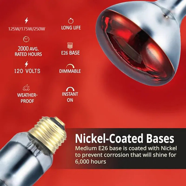 Color: Orange, Ships From: United States - BONGBADA Quartz glass waterproof and explosion-proof E26