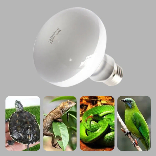 Color: light green, Ships From: CHINA - UVA+UVB Heating Lamp uv light Suitable For Turtle Lizard Re