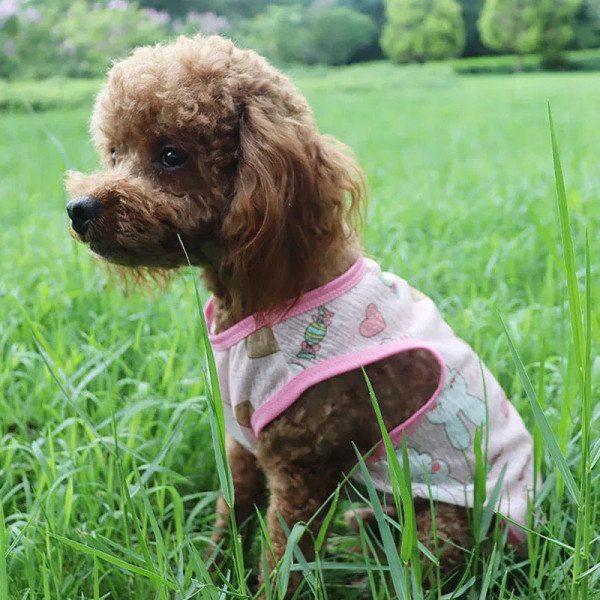 Color: Green, Size: XS - Summer Dog Vest Ultra Thin Breathable Mesh Cloth Pet T-shirt for Small Dog