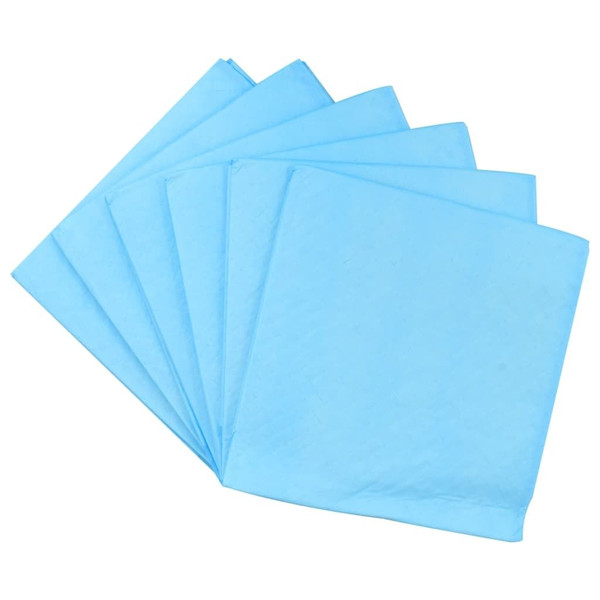  Pet Training Pad Set of 100 Blue and White Non woven fabric