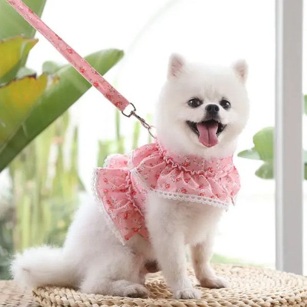 Color: Dark Khaki, Size: L, Ships From: CHINA - Pets Coller Harness Small Medium Dog Chihuahua Pome