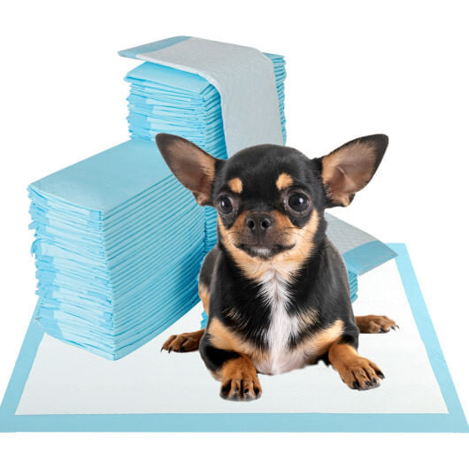 Dog and Puppy Pee Pads 18" x 13" (300 Counts) for Potty Training-Blue - Color: Blue