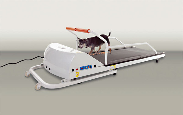 Gopet binary PR710F ToySmall Breed TreadMill