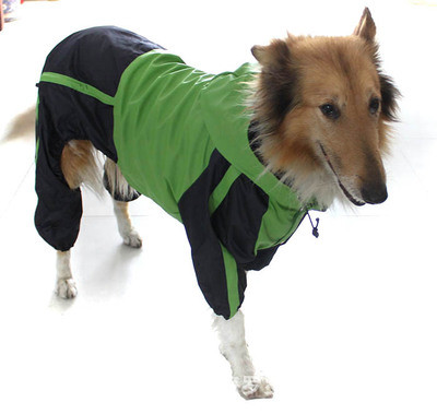 Color: Green, Size: M - Large dog pet raincoat