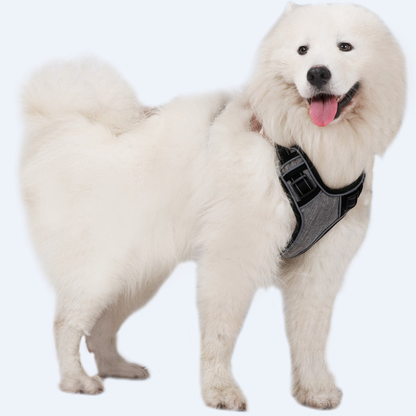 Color: blue, Specification (length * Width): XL - The dog straps