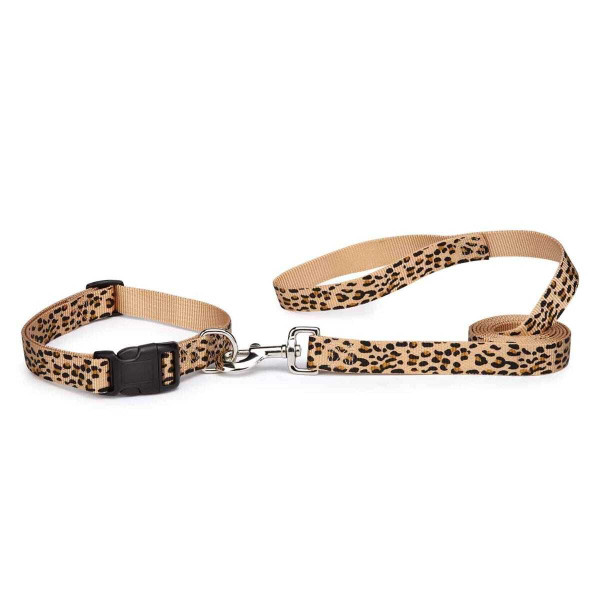 Casual Canine Animal-Print Leads 4 ft x 5/8 in Zebra