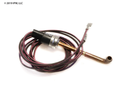 Rheem-Ruud Low Pressure Limit Control (47-101529-09) - Limit Controls