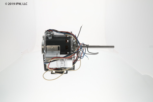 International Environmental Direct Drive Blower Motor (70556336) - Motors 