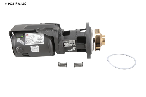 Raypak Integral Pump Assembly (004844F) - Pumps