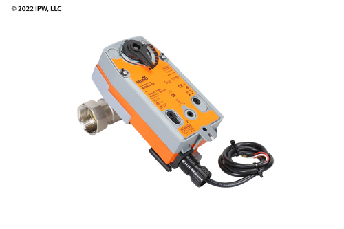 Belimo Characterized Control Valve (B238+AFRB24-SR) - Valves