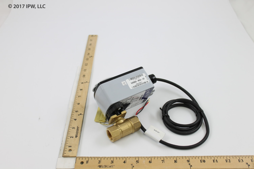 Johnson Controls Ball Valve (VG1245BN+923BGA) - Valves