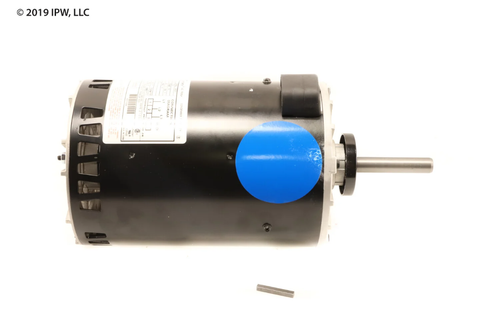 Trane Motor (MOT10294) - Motors 