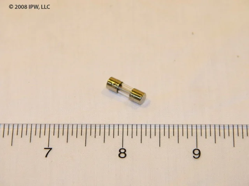 Rheem-Ruud Fast Acting Glass Fuses (46-22863-82) - Fuses