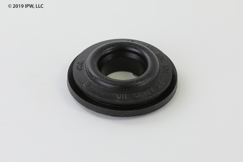 Lochinvar & A.O. Smith Plug Gasket (100208097) - Gaskets