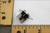 Lennox Fan and Limit Control (38M66) - Limit Controls