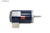 Marathon Pump Motor (GT4104) - Motors