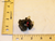 Trane Motor Starting Relay (RLY1676) - Relays
