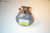 Johnson Controls Globe Valve Assembly (VG7243GT+3008B) - Valves