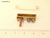 Fenwal Flush Mount Temperature Sensor (11-030002-000) - Temperature Sensors