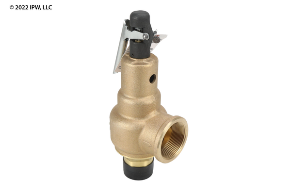 Kunkle Valve Steam Relief Valve (6010HGM01AAM0150) - Valves