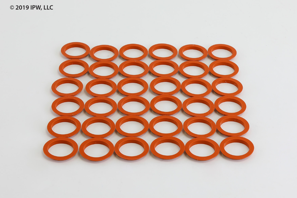 Raypak Gasket Kit (001054F) - Gaskets 
