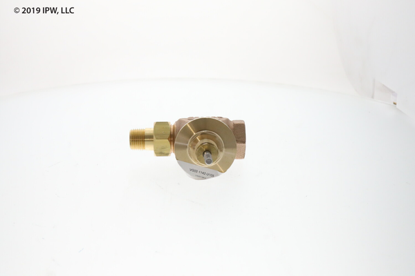 Johnson Controls Globe Valve (VG7251CT) - Valves