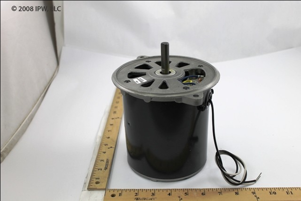Daikin Applied Motor (034249200) - Motors