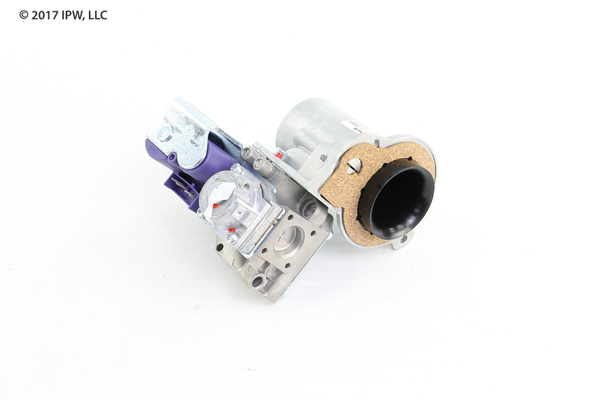 Lochinvar & A.O. Smith Gas Valve Assembly (100172003) - Valves