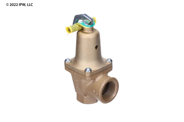 Lochinvar & A.O. Smith Relief Valve (100208442) - Valves