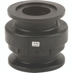 Anti-retour Flange 2"