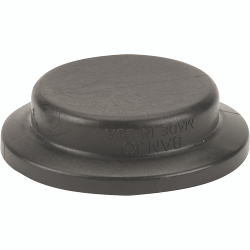 Plug Flange 2"
