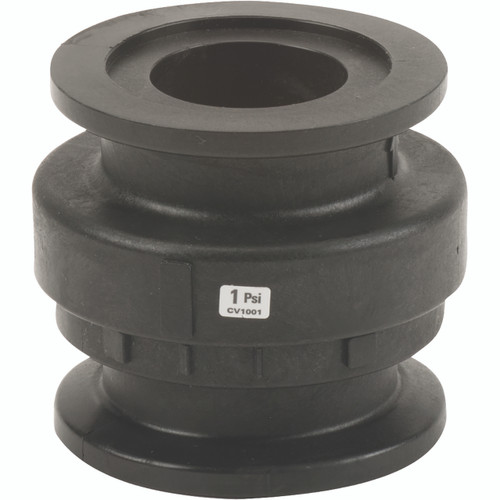 Anti-retour Flange 2"