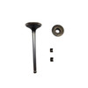 84012919 VALVE EXHAUST ( Briggs Briggs and Stratton Genuine OEM Part part) - SUPERSEDED FROM 792868
