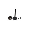 808687 Valve, Exhaust Briggs and Stratton Genuine OEM Part - SUPERSEDED FROM 807681