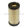 793569 Air Filter Briggs and Stratton - Image 1