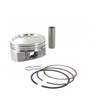843805 Briggs and Stratton Piston Assy OEM