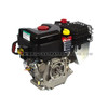 BRIGGS & STRATTON 007-F1 - SNOW ENGINE 19J137-0007-F1 - Image 2