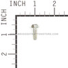 BRIGGS AND STRATTON 703062 - SCREW 10-14 - Image 2