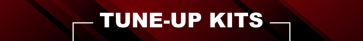 TUNE-UP KITS
