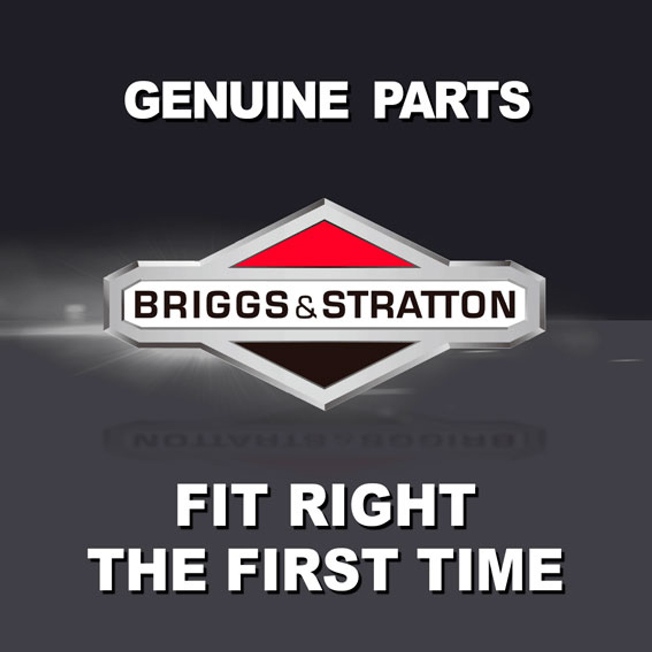 BRIGGS & STRATTON PIN-PISTON/STD 499302 - Image 1
