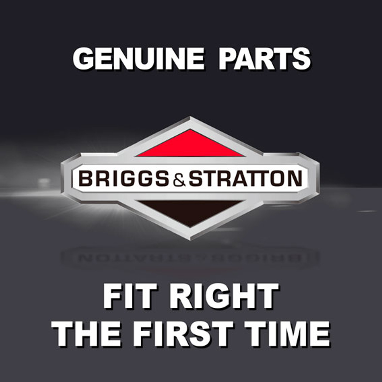 Briggs And Stratton 1001802Ma - Insert-W1 Grille-Cent (Briggs Oem Part)