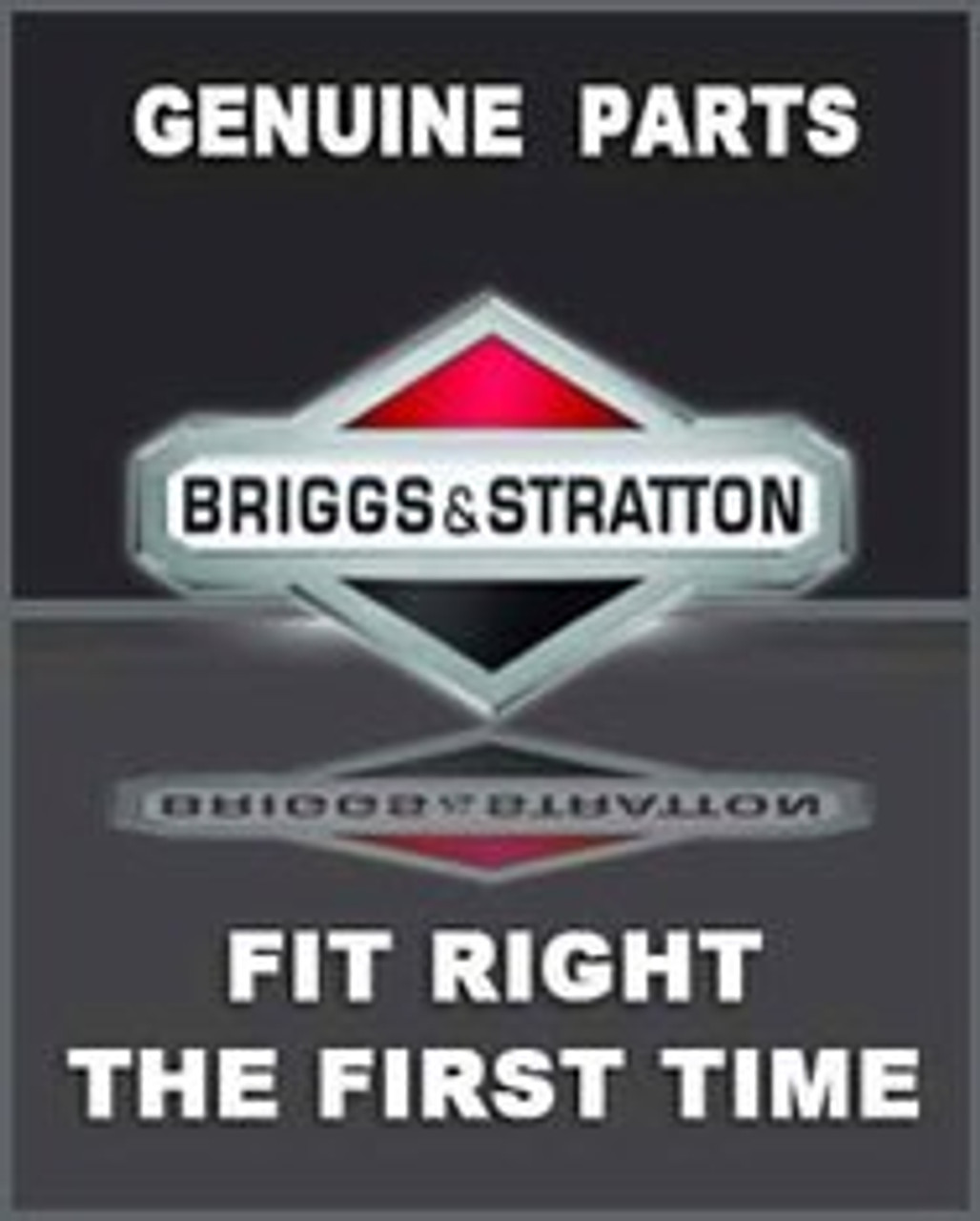 BRIGGS AND STRATTON 279570 - LABEL POWER (Briggs OEM part)